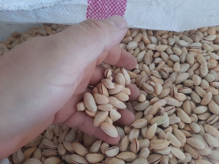 Fotoğraf 16