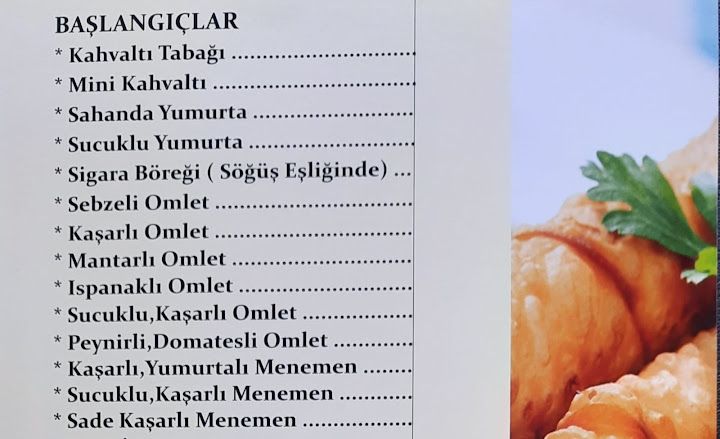 Fotoğraf 15