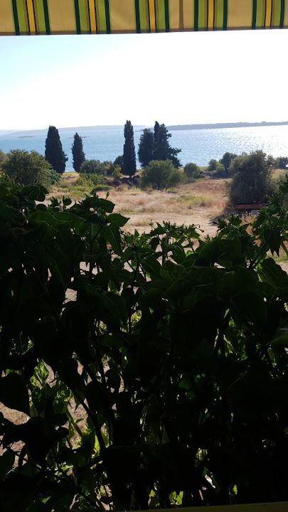 Fotoğraf 19