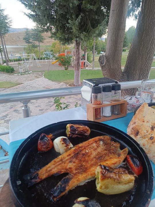 Fotoğraf 17