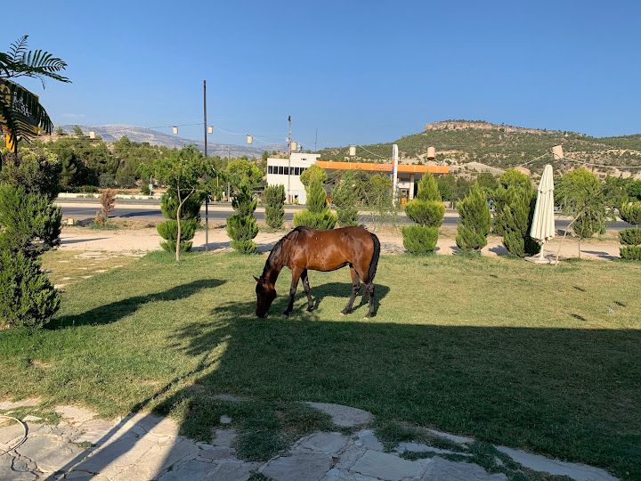 Yorum fotoğrafı 3