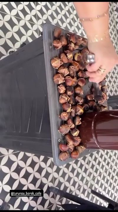 Fotoğraf 13