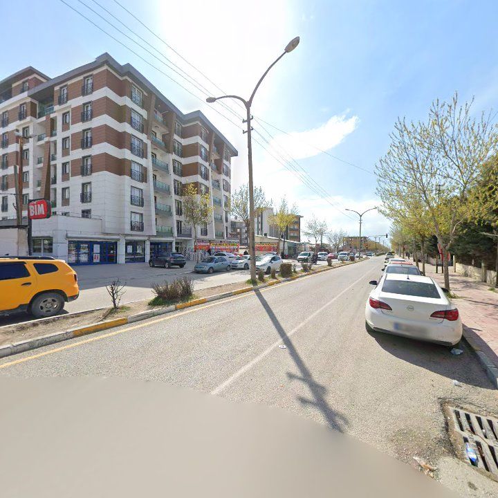 Fotoğraf 8