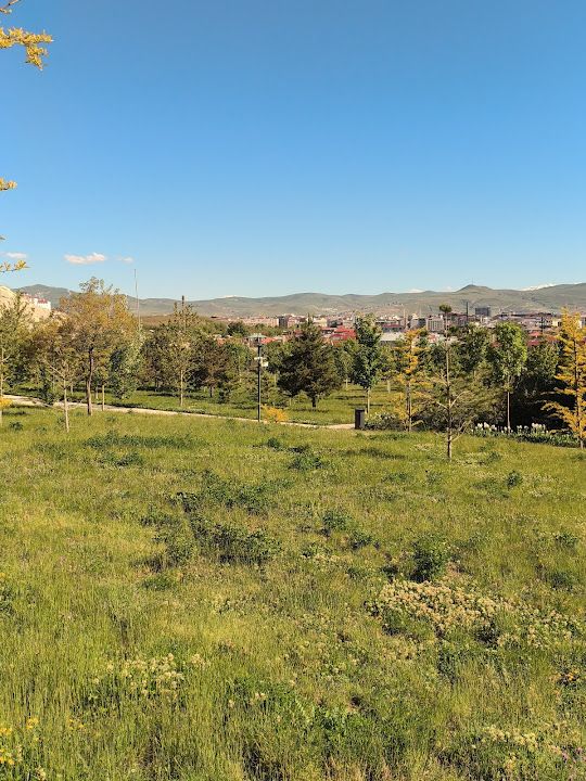 Yorum fotoğrafı 4