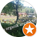 tutluca ceylan organik arıcılık
