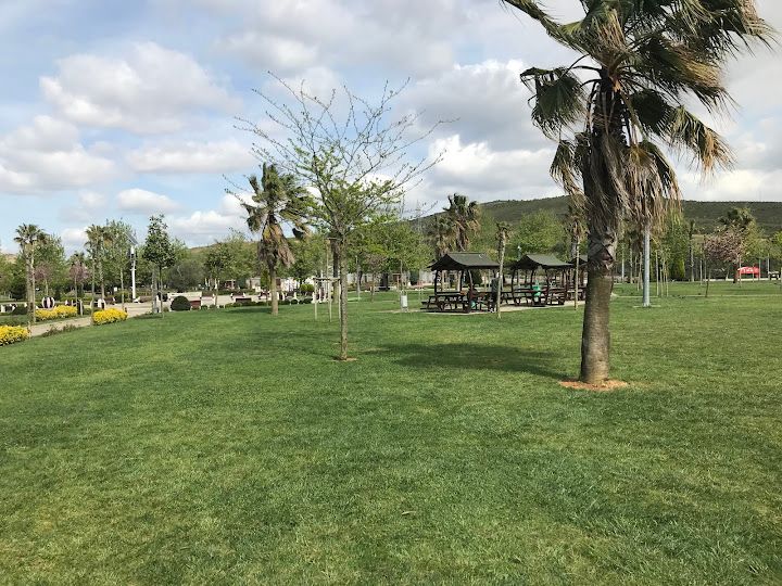 Fotoğraf 6
