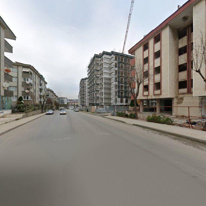 Fotoğraf 11