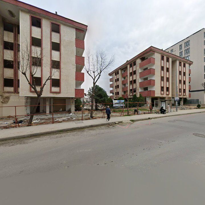Fotoğraf 12