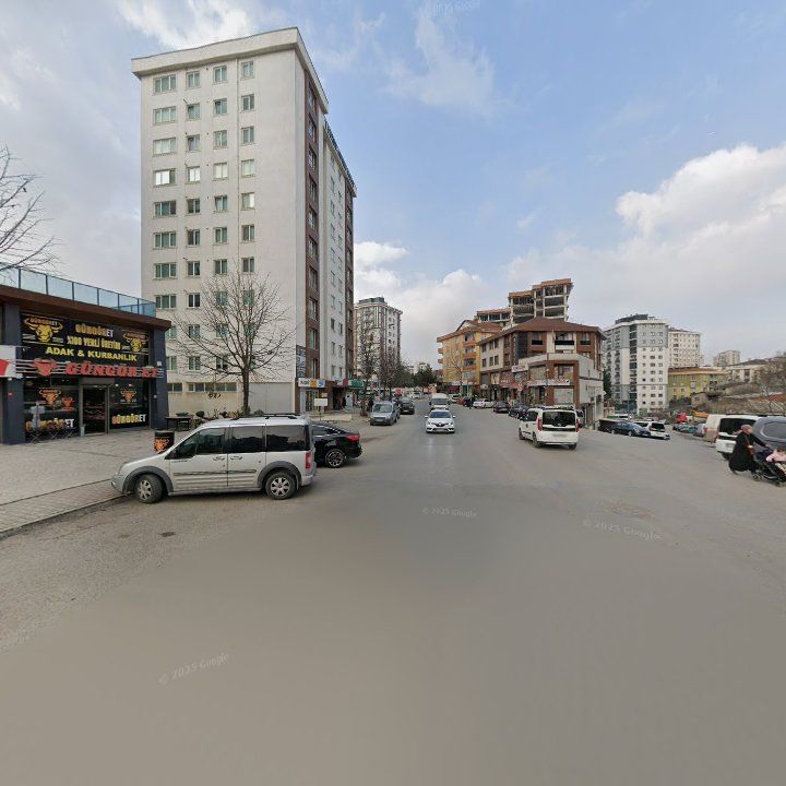 Fotoğraf 6