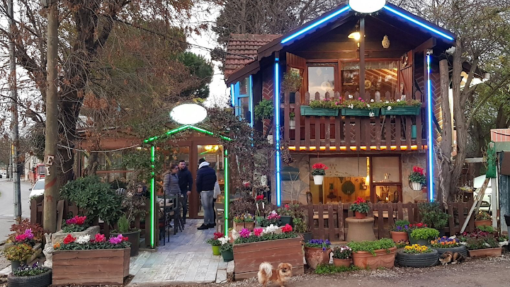 Fotoğraf 8