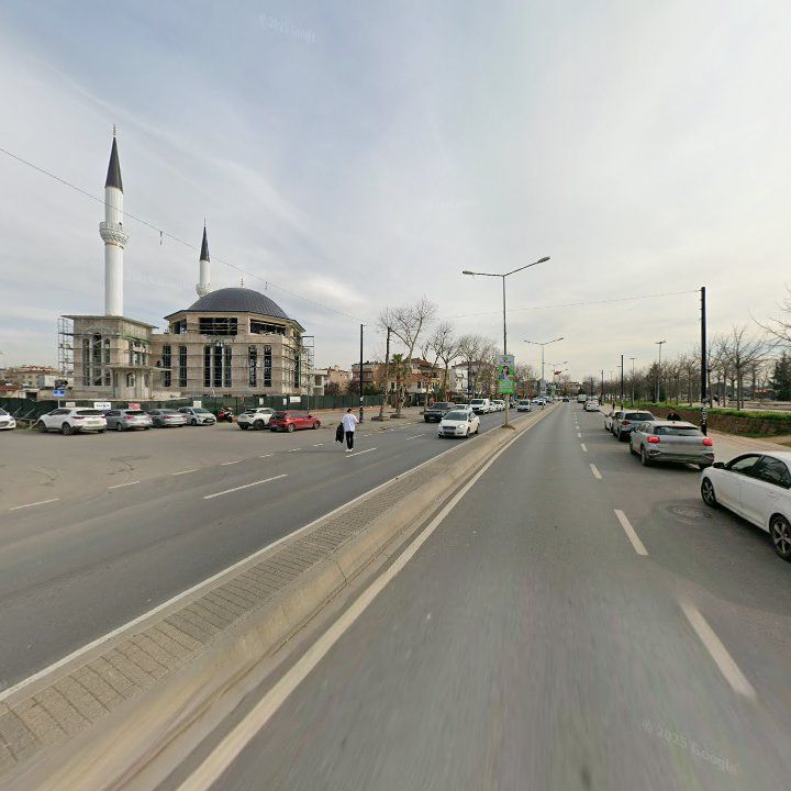 Fotoğraf 8