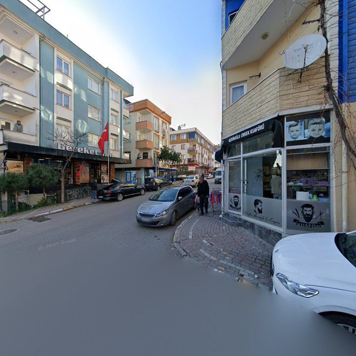 Fotoğraf 12