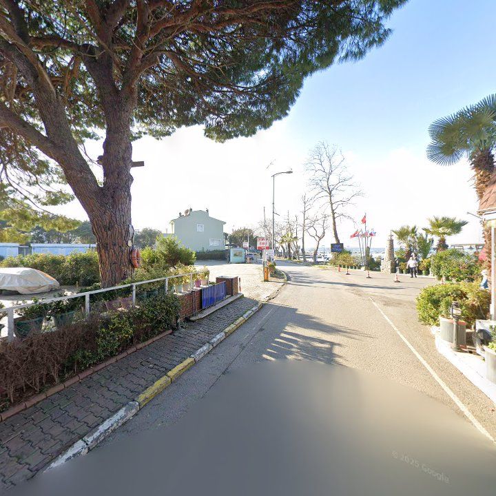 Fotoğraf 12