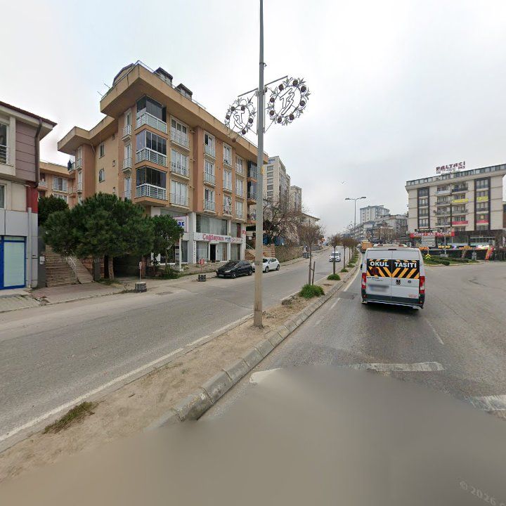 Fotoğraf 12