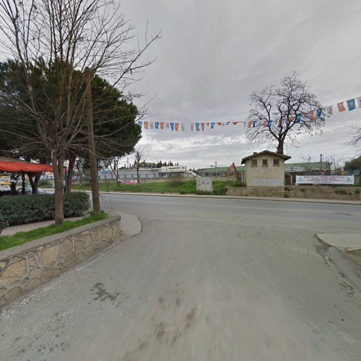 Fotoğraf 8