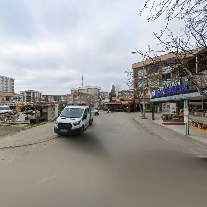 Fotoğraf 9