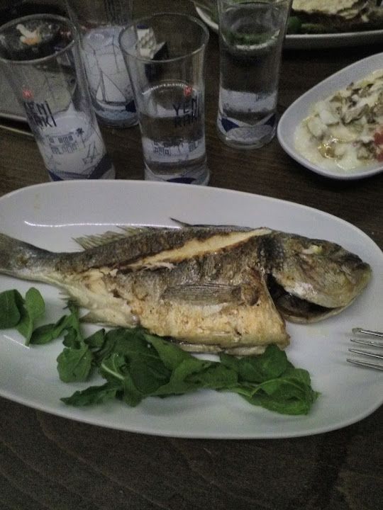 Fotoğraf 38