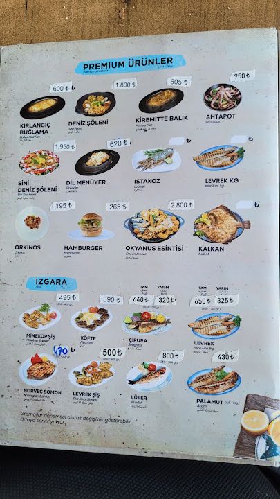Fotoğraf 45