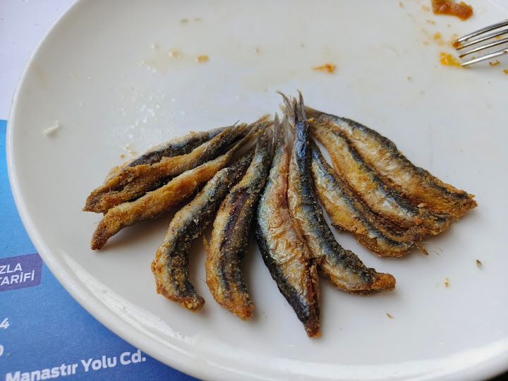 Yorum fotoğrafı 4