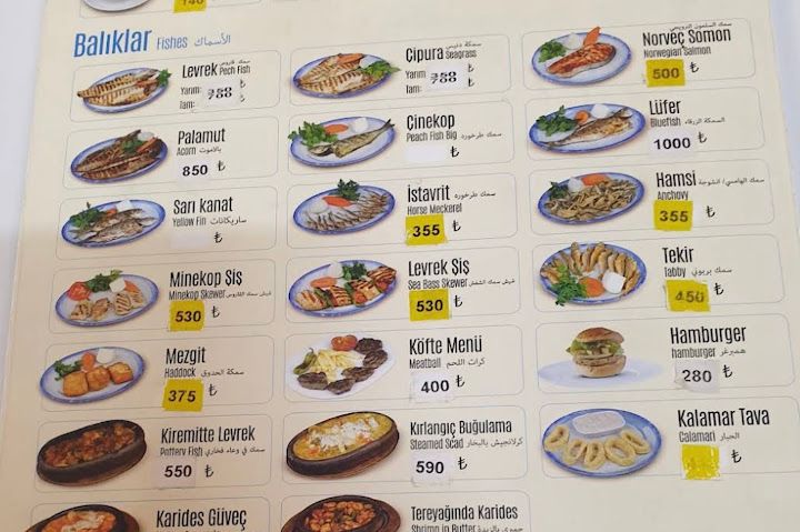 Fotoğraf 31