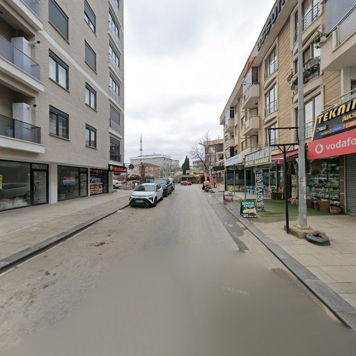 Fotoğraf 10