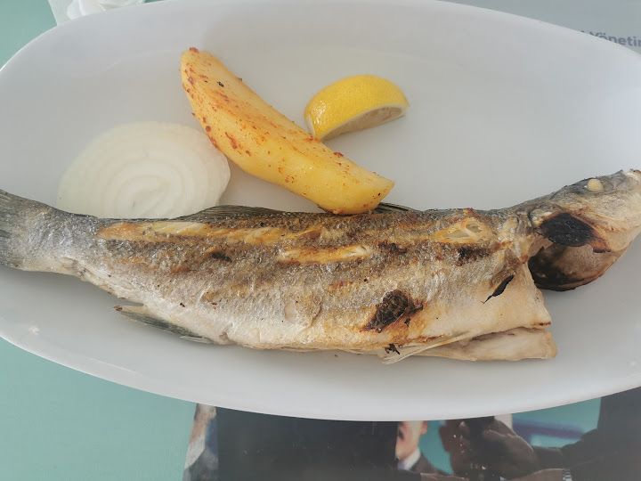 Fotoğraf 28