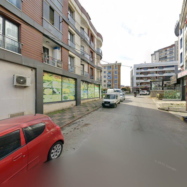 Fotoğraf 10