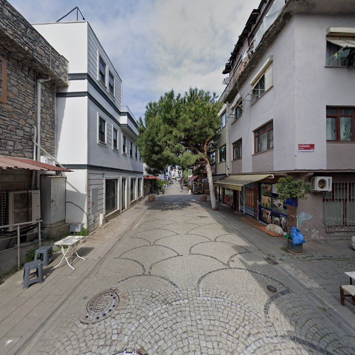 Fotoğraf 13