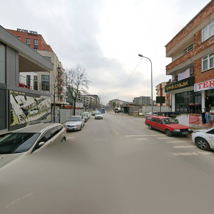 Fotoğraf 10