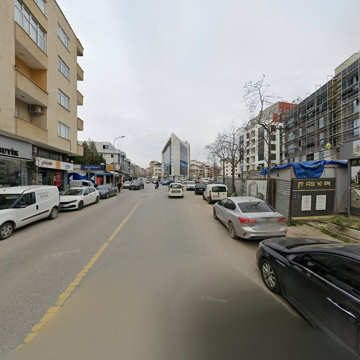 Fotoğraf 12