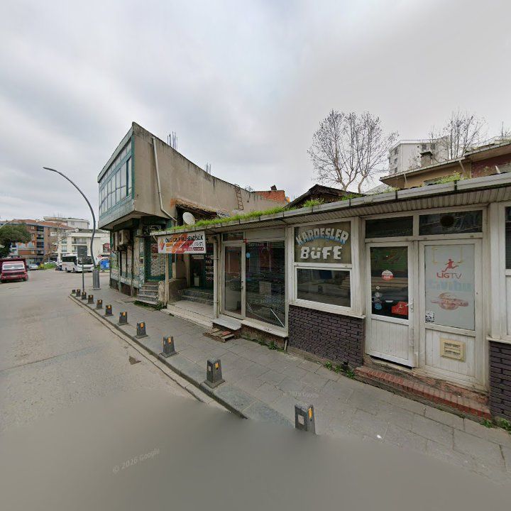Fotoğraf 9