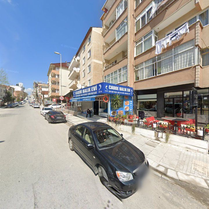 Fotoğraf 8