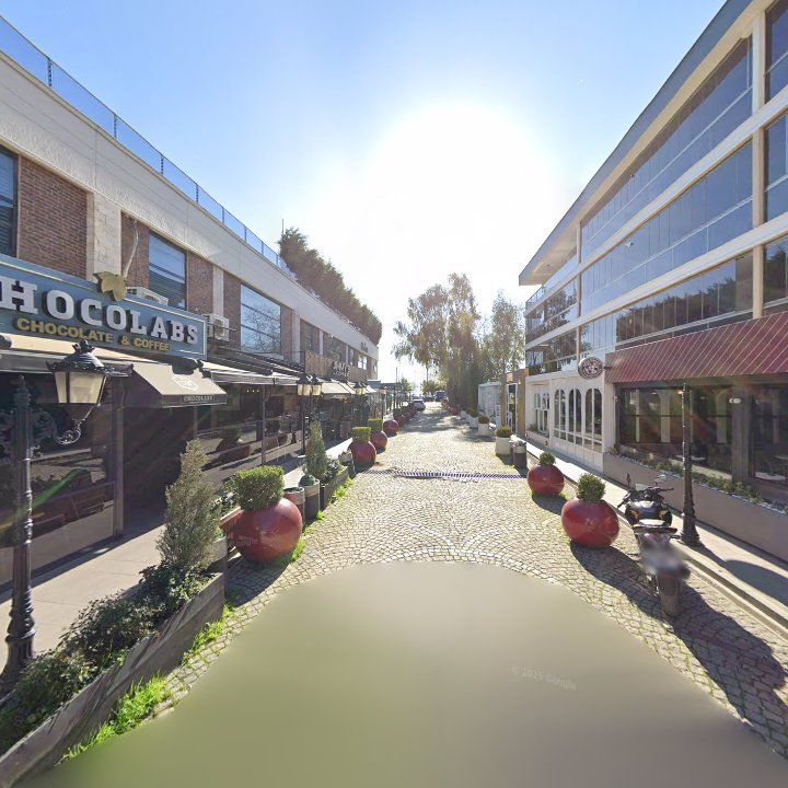 Fotoğraf 12