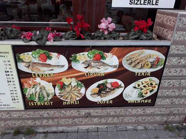 Fotoğraf 24