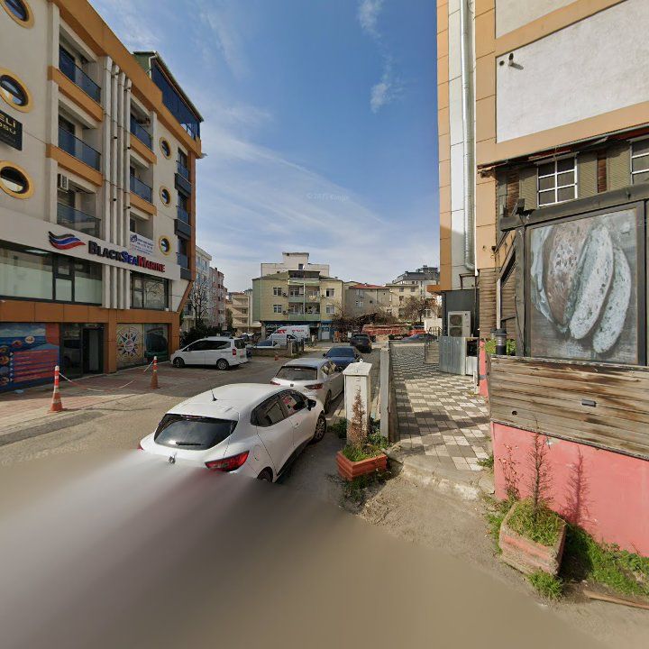 Fotoğraf 11