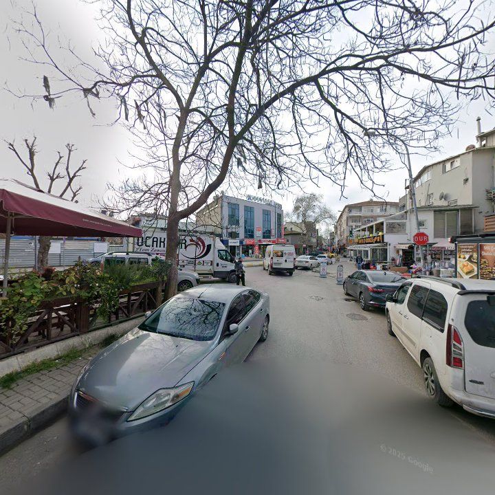 Fotoğraf 11