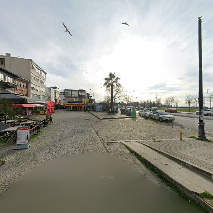 Fotoğraf 10