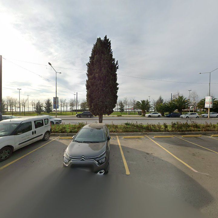 Fotoğraf 11