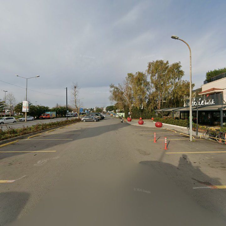 Fotoğraf 12
