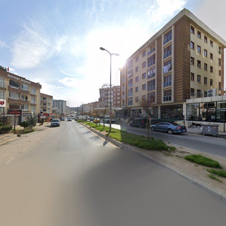 Fotoğraf 8