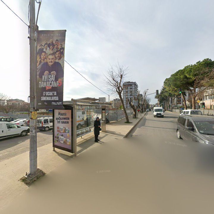 Fotoğraf 10