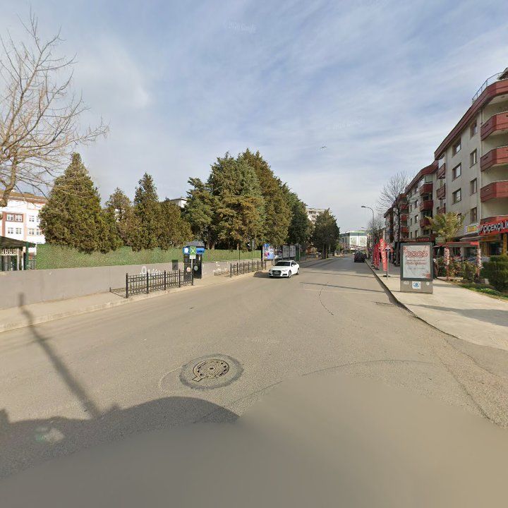 Fotoğraf 12