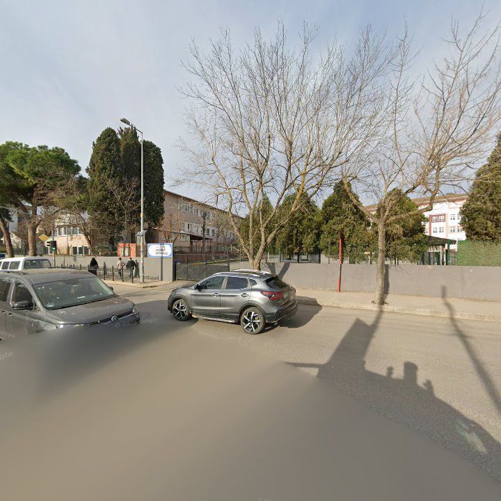 Fotoğraf 11