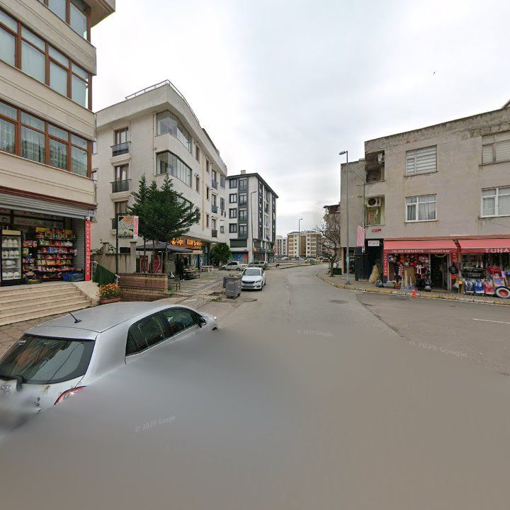 Fotoğraf 9
