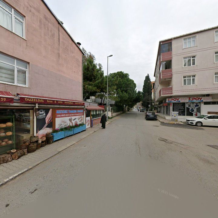 Fotoğraf 7