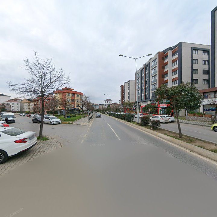 Fotoğraf 10