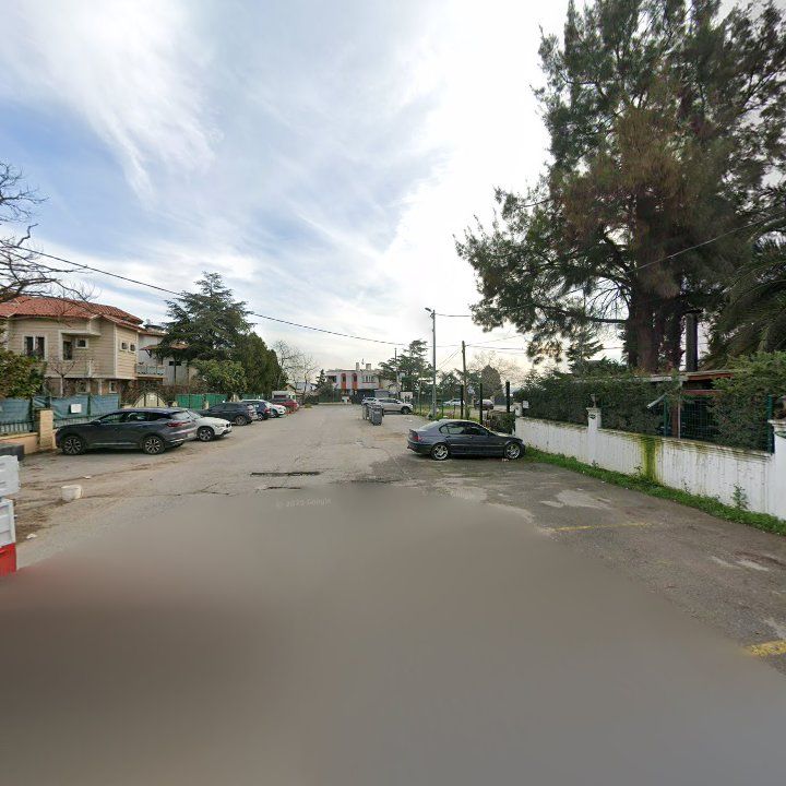 Fotoğraf 11