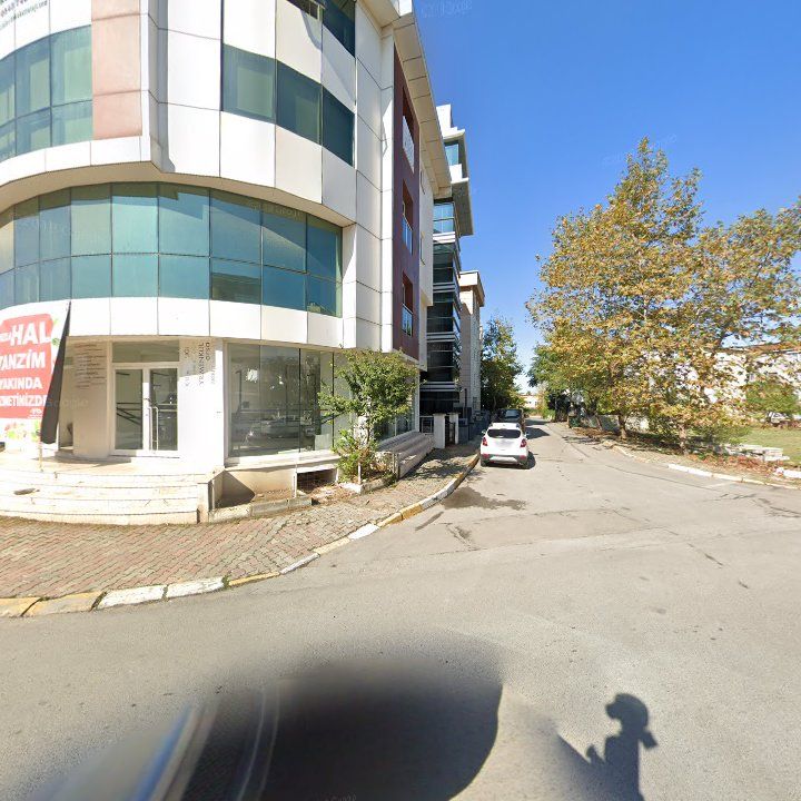 Fotoğraf 11