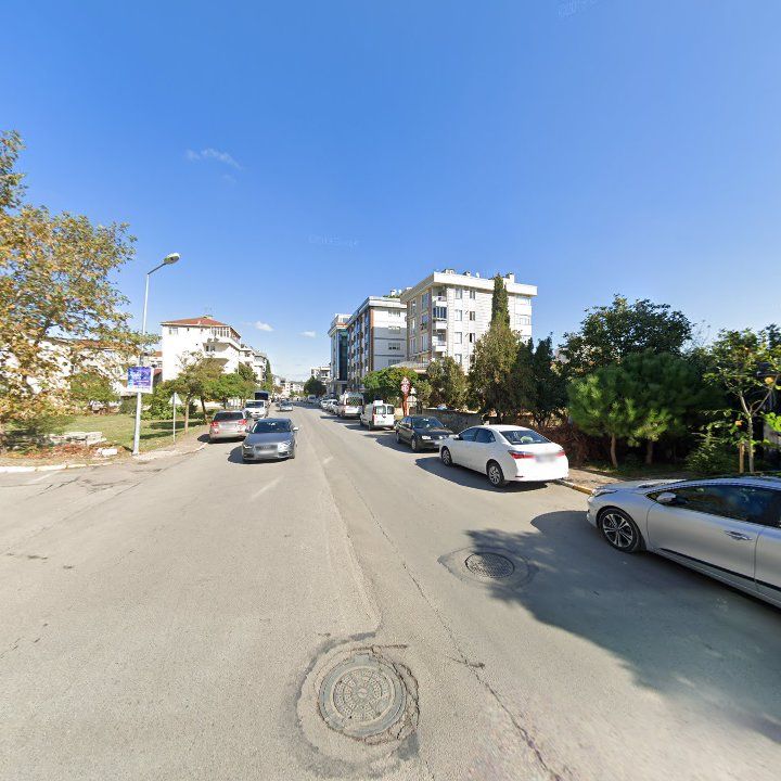 Fotoğraf 12