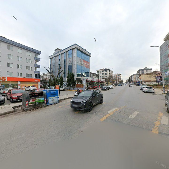 Fotoğraf 12